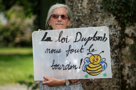 Loi Duplomb : la pétition dépasse 1,5 million de signatures, le gouvernement « disponible » pour un nouveau débat au Parlement | Environnement - Énergie | Scoop.it