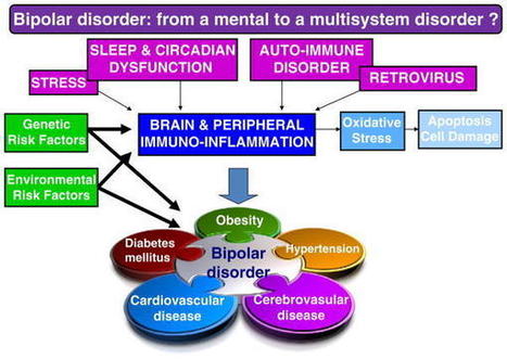 Can bipolar disorder be viewed as a multi-system inflammatory disease? | AntiNMDA | Scoop.it