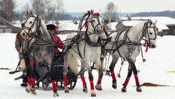 Kielitoimiston sanakirja | yle.fi | 1Uutiset - Lukemisen t&auml;hden | Scoop.it