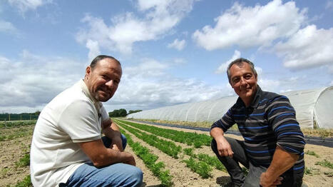 « Ça met du beurre dans les épinards » : pour ces agriculteurs, une rentrée d’argent indispensable - Ouest France [Abonnés] | Agriculture en Pays de la Loire | Scoop.it
