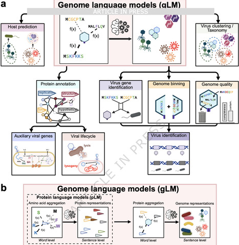 Protein Set Transformer: a protein-based genome...