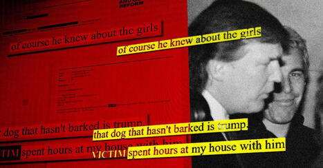 A Complete Guide to the Jeffrey Epstein Document Dumps - WIRED.com | Operation Phobos | Scoop.it