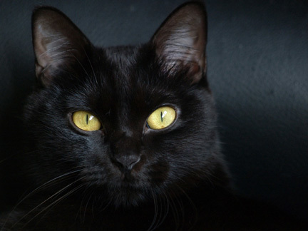 In Defense of Superstition | Science News | Scoop.it