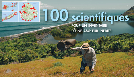 INPN - News - La Plan&egrave;te Revisit&eacute; des &icirc;les de Guadeloupe. | Insect Archive | Scoop.it