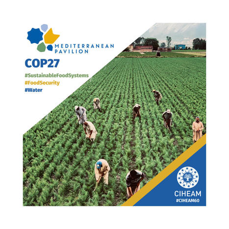 Side-Events du CIHEAM à la COP27 - CIHEAM | Gestion Durable des Ressources | Scoop.it