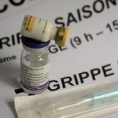 Canada : un millier de cas de grippe H1N1, cinq morts | Meilleure revue de presse de l'univers connu | Scoop.it
