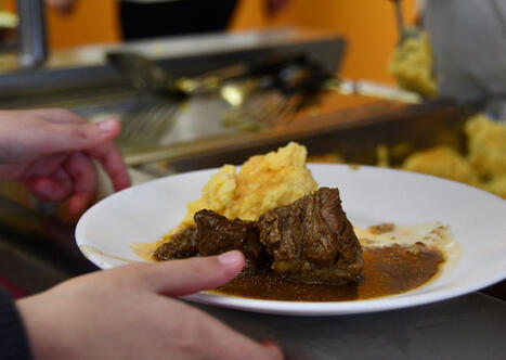&Eacute;ducation &agrave; l'alimentation : une exp&eacute;rimentation nationale pour faire entrer le "bien manger &agrave; la fran&ccedil;aise" &agrave; l'&eacute;cole | Revue de presse &eacute;conomique du Sud Touraine | Scoop.it
