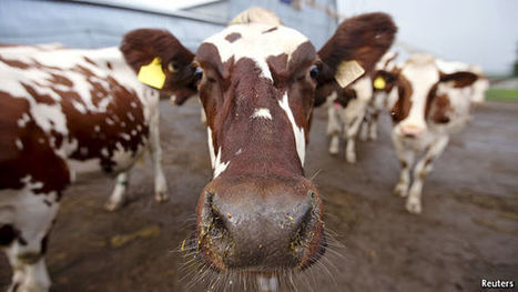 Food fight: Donald Trump takes aim at Canada | L'ECHO DEMETER | Scoop.it