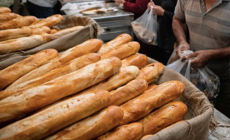 Le complexe du pain en TUNISIE : enjeux actuels | CIHEAM Press Review | Scoop.it