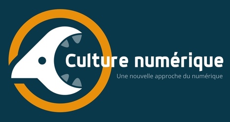 Culture num&eacute;rique : une nouvelle approche du num&eacute;rique | Culture num&eacute;rique | Scoop.it
