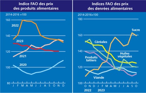 L’Indice FAO des prix des aliments se stabilise en novembre | Lait de Normandie... et d'ailleurs | Scoop.it