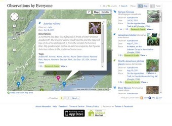 Free Technology for Teachers: iNaturalist - Record and Share Observations of Nature | Into the Driver's Seat | Scoop.it