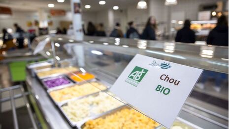 Faux bio, eau potable payante, labels abusifs&hellip; ces cas de greenwashing alimentaire rep&eacute;r&eacute;s par la r&eacute;pression des fraudes | Revue de presse du Centre de doc | Scoop.it