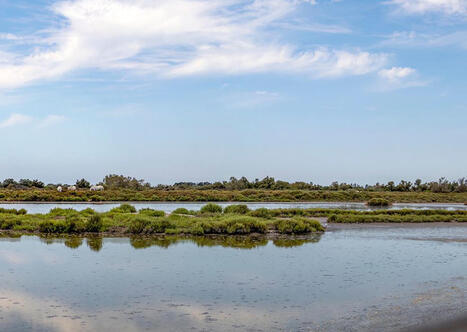 Gemapi : le S&eacute;nat adopte en commission sa proposition de loi pour renforcer la solidarit&eacute; financi&egrave;re &agrave; l&rsquo;&eacute;chelle des bassins | Paysage - Environnement | Scoop.it