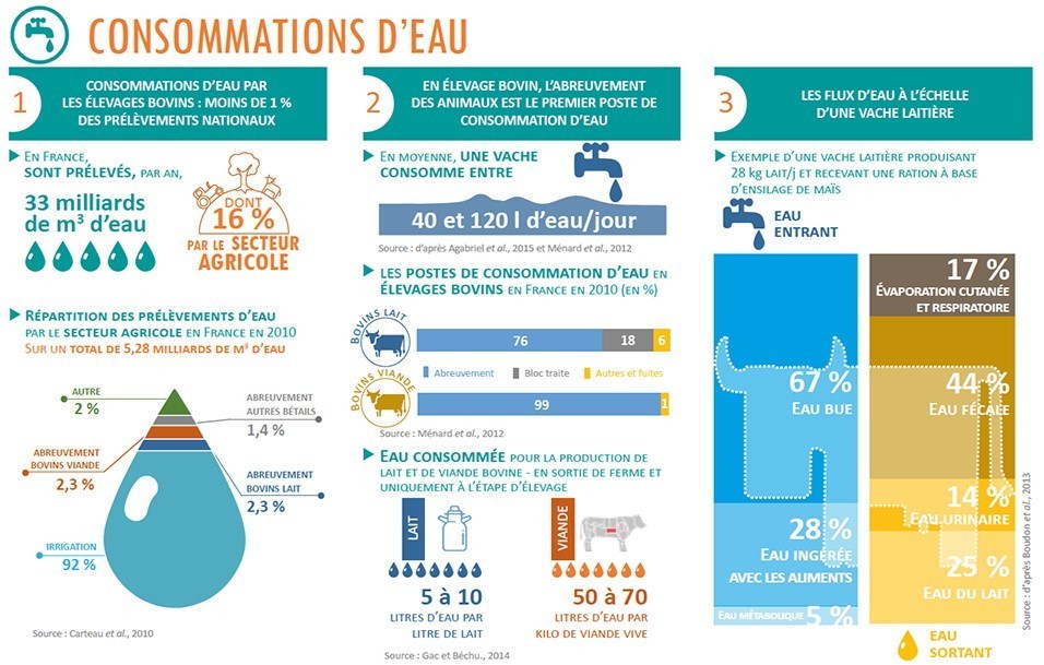 [Infographie] Consommations D’eau En &eac...