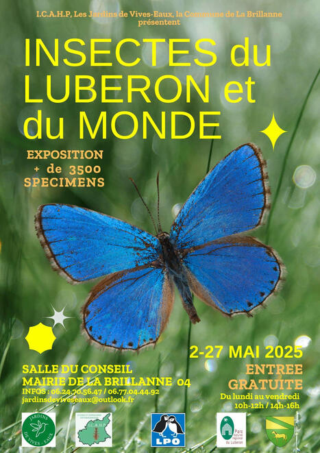 Exposition Insectes du Luberon et du Monde | Variétés entomologiques | Scoop.it