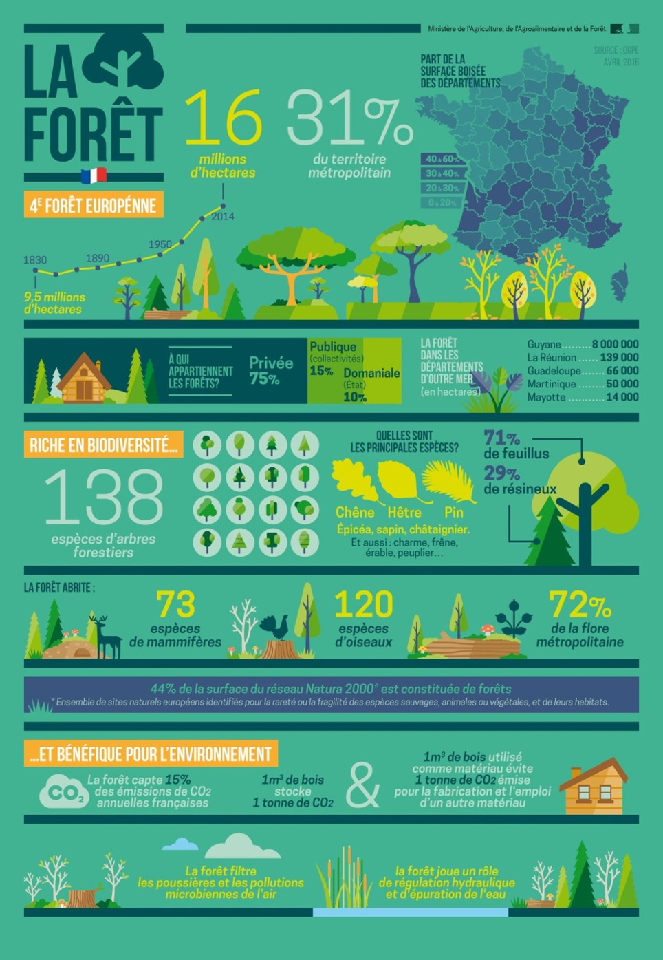 Infographie - La forêt française, 4ème forêt européenne, riche en biodiversité et bénéfique pour l'environnement | Veille territoriale AURH | Scoop.it