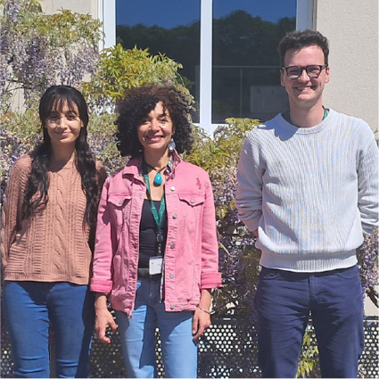 Mobility in Versailles - Hela - SPS - Home | Plant Sciences | Scoop.it