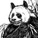 Google Panda Update: Antitrust and Escaping the Panda By Moving Content To a New Domain | Google Penalty World | Scoop.it