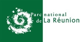 11eme édition des Nuits sans Lumière : du 8 avril au 2 mai 2019 ! Parc national de la Réunion | Biodiversité | Scoop.it