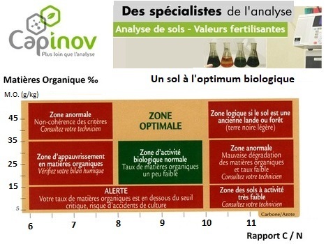 Capinov : Comment interpréter le taux de Matières organiques de l'analyse de sol en lien avec le rapport Carbone/Azote ? | HUMS Bilan de l'humus _ Stockage du Carbone | Scoop.it