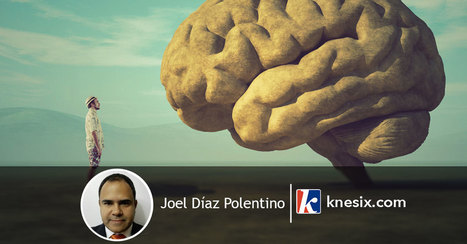 Ensayo: Breve Reseña de Nuestro Cerebro | Educación, TIC y ecología | Scoop.it