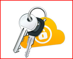 Password Manager - Norton Identity Safe | eSafety - Ψηφιακή Ασφάλεια | Scoop.it