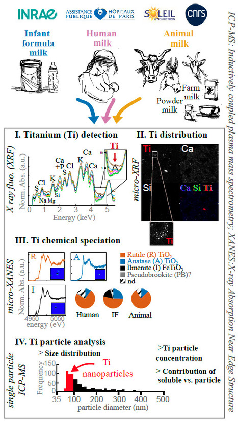 Du dioxyde de titane détecté dans le lait, malgré l’interdiction du E171 | Life Sciences Université Paris-Saclay | Scoop.it