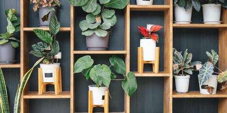 14 Self-Watering Planters Give Anyone a Green Thumb | Best Home Decor  Maintenance Tips & More | Scoop.it