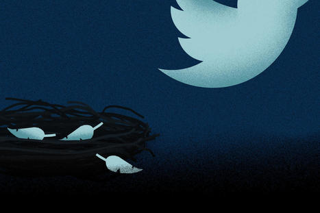 What apps to use if you leave Twitter - The | consumer psychology | Scoop.it
