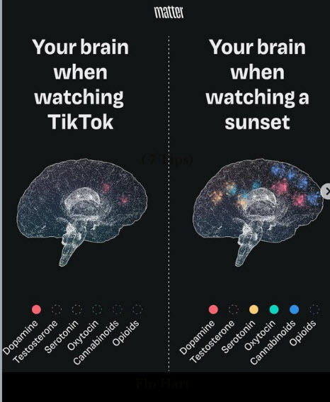 How Your Brain Reacts | Thinking Clearly and Analytically | Scoop.it