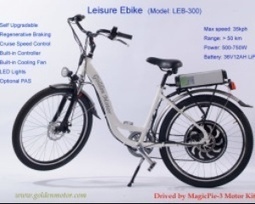 golden motor ebike kit