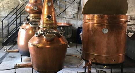 Distillerie Terre Froide : des spiritueux montagnards | Magazine Présences Grenoble | Découvrir les spiritueux français avec Reflets de France - Agence de voyages | Scoop.it