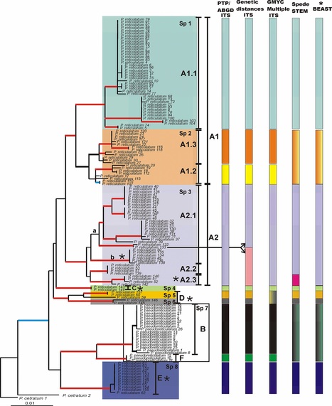 PLOS ONE: Hidden Genetic Diversity in an Asexually Reproducing Lichen Forming Fungal Group (2016) | Plant Pathogenomics | Scoop.it