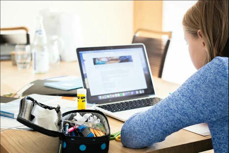Le guide ultime sur l’enseignement à distance | FLE CÔTÉ COURS | Scoop.it