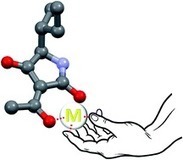 3-Acylated tetramic and tetronic acids as natural metal binders: myth or reality? | Natural Products Chemistry Breaking News | Scoop.it