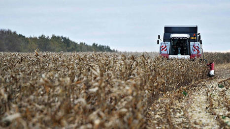 La Commission européenne propose d'augmenter les droits de douane élevés sur les céréales russes | Questions de développement ... | Scoop.it