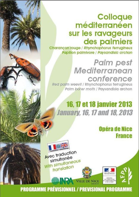 Colloque méditerranéen sur les ravageurs des palmiers | Variétés entomologiques | Scoop.it