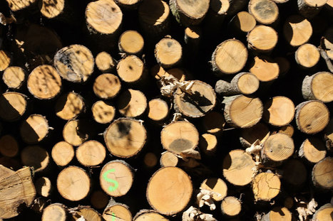 Le chauffage au bois est de plus en plus vertueux | Build Green, pour un habitat écologique | Scoop.it