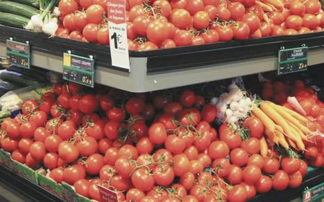 MAROC : Tomate marocaine : vers une hausse des exportations en EUROPE ? | CIHEAM Press Review | Scoop.it