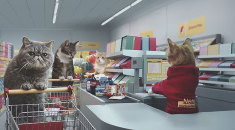 This Bizarre Cat Ad By A German Grocery Store Is Hilarious | IELTS, ESP, EAP and CALL | Scoop.it