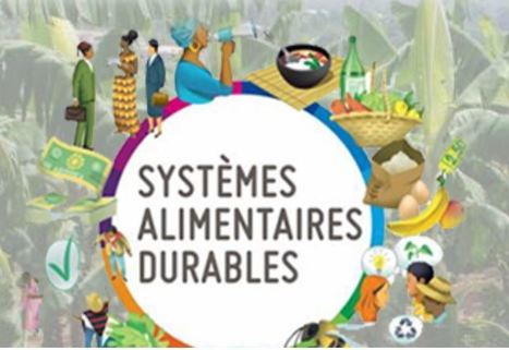 Systèmes alimentaires en Afrique et Méditerranée - 7,8 et 9 Novembre 2022 : vous inscrire ? - INRAE | Agriculture et Alimentation Durable Méditerranéenne | Scoop.it