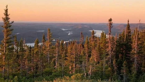 Une trentaine de projets d&rsquo;aires prot&eacute;g&eacute;es propos&eacute;s sur la C&ocirc;te-Nord | Ils parlent de nous ! | Scoop.it