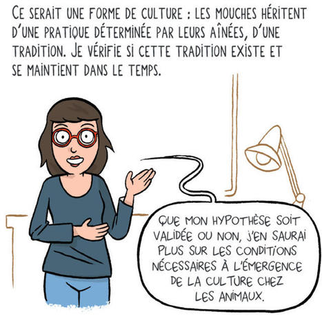 Les animaux peuvent-ils avoir une culture ? #2 : Les drosophiles, conformistes et capables de traditions ? | EntomoScience | Scoop.it