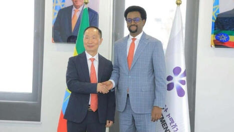 Ethiopie : "Industrie : le chinois Xinye lance une usine d'aluminium en &Eacute;thiopie" | Revue de Presse Afrique & PMO anglophone ou lusophone par service international de CCI Normandie | Scoop.it
