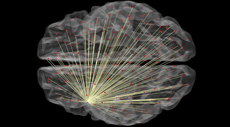 Images of Brain Connectivity Helps To Predict Intelligence | Amazing Science | Scoop.it