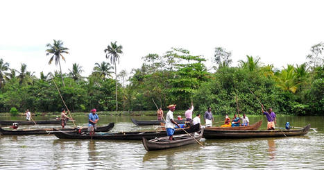 ILO looks to sustainable aquaculture to achieve decent work goals | The Fish Site | CIHEAM Press Review | Scoop.it