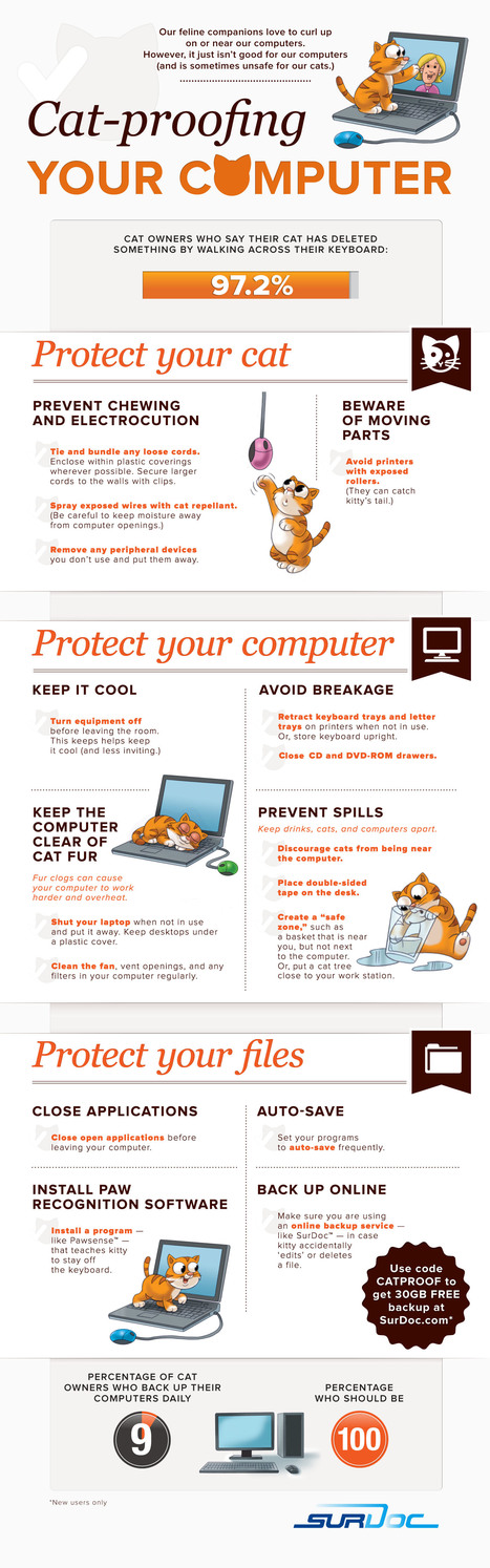 How to Cat-Proof Your Computer [[INFOGRAPHIC] | Digital-News on Scoop.it today | Scoop.it