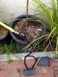 Raspberry Pi Soil Moisture Sensor | tecno4 | Scoop.it