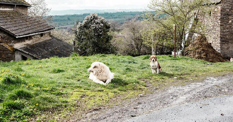 Regards croisés sur une société oubliée | prospective et tendances | Scoop.it